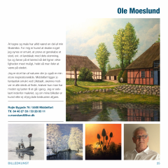 kunstner Ole Moeslund_Side_25