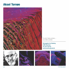 kunstner Aksel Tornøe_Side_54